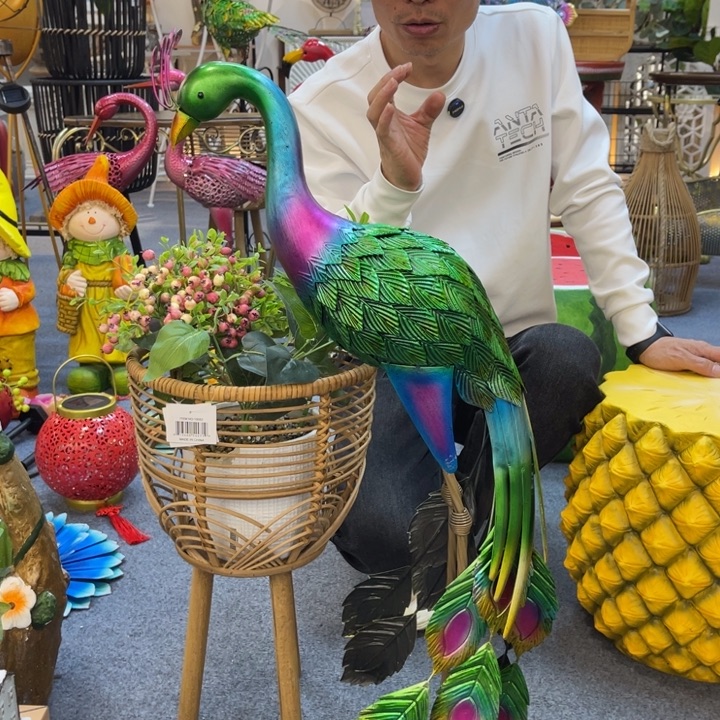 哈哈哈哈哈哈哈哈孔雀