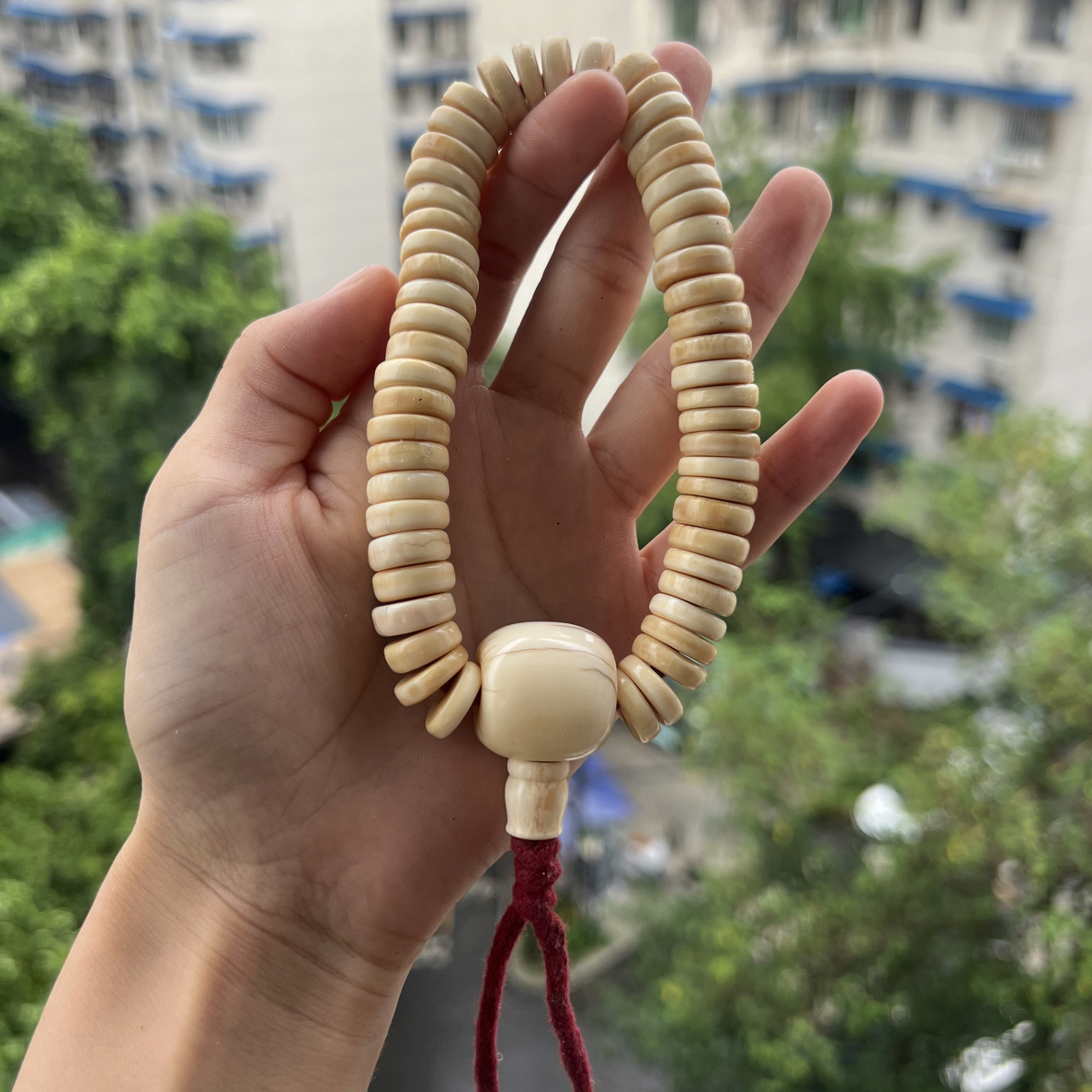 藏传收获一条手持