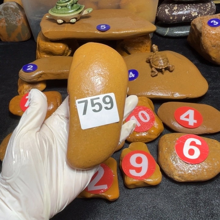 徐***皮香榧木木头人的生活习性第三