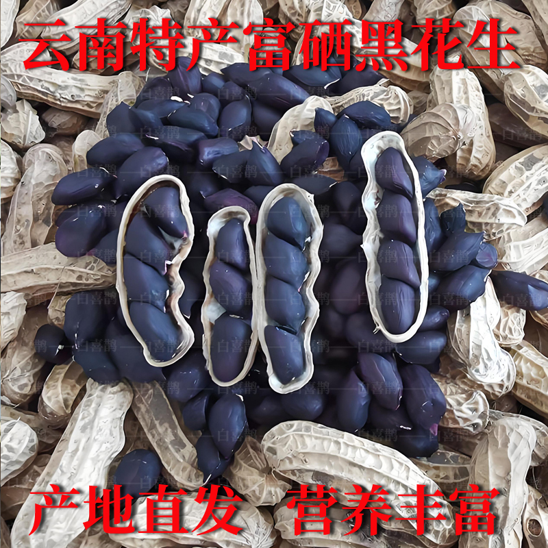 2025云南富硒黑花生现挖新鲜湿花生带壳花生小粒花生原味紫皮花生
