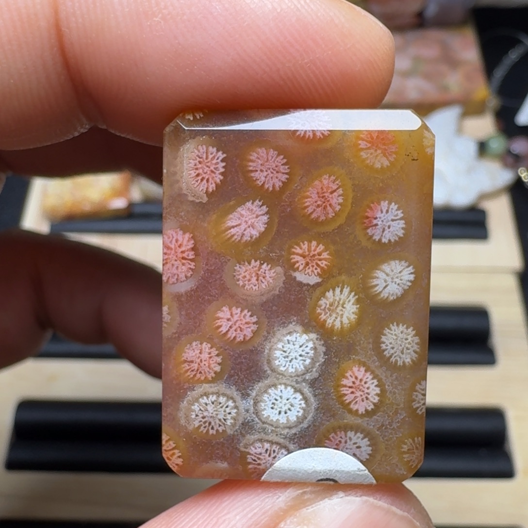 未镶嵌纯天然色有机玉石保真色硅化玉