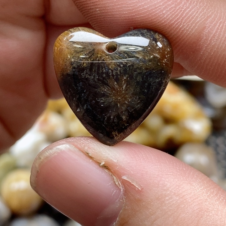 颈饰未镶嵌硅化珊瑚（珊瑚玉）小