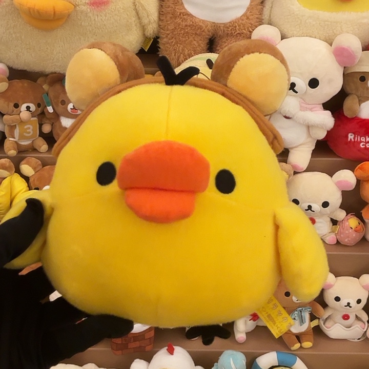 毛绒熊哥发带鼻孔鸡