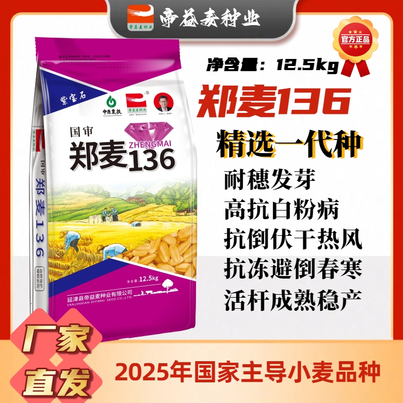 帝益麦种业郑麦136厂家直销旱抗高产高抗小麦种锈病分蘖强倒春寒