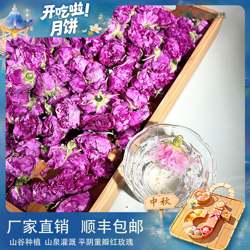 （拍三发四）平阴重瓣泡茶冻干玫瑰食用平阴玫瑰玫瑰花茶玫瑰花直销