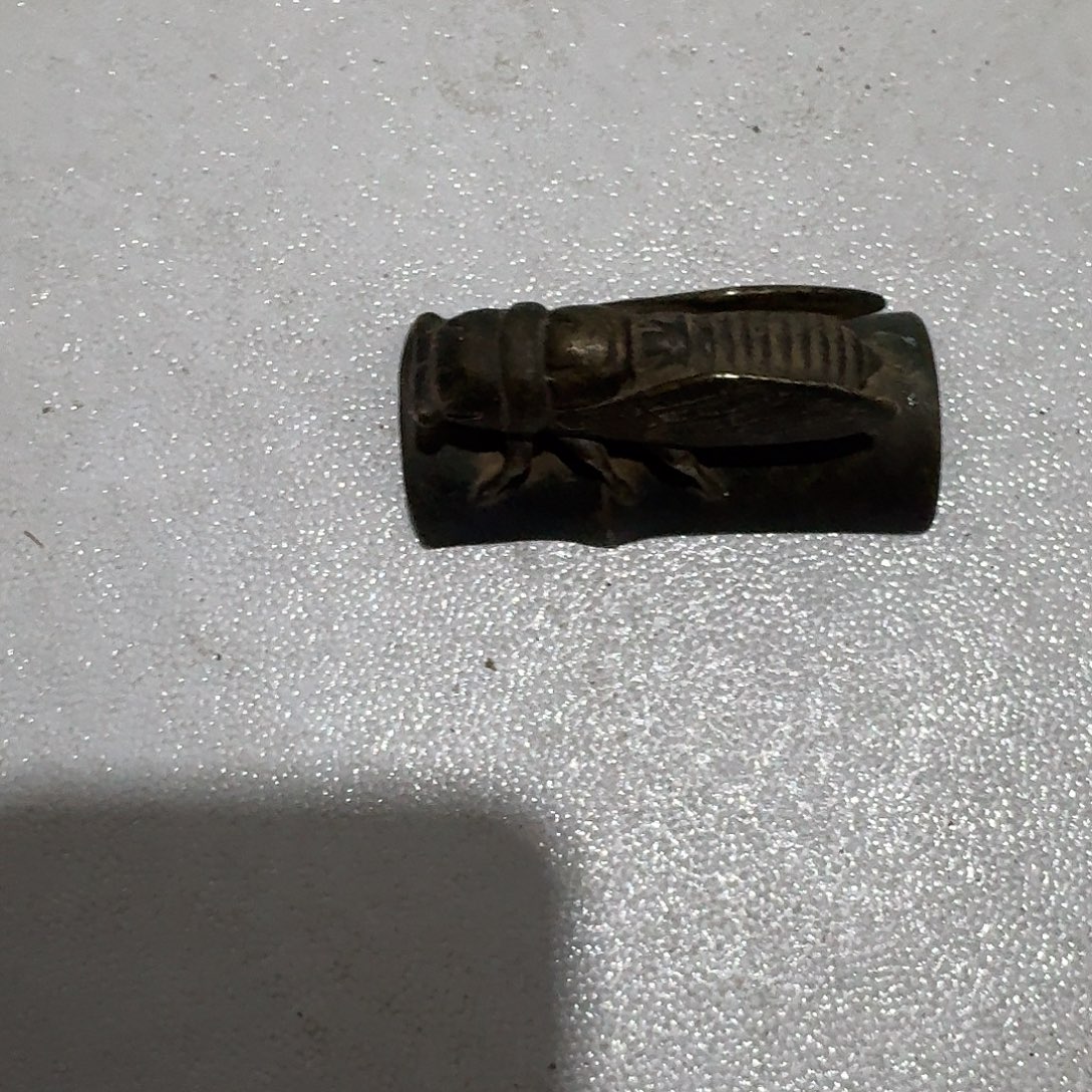 晓***月一鸣惊人的是我的朋友都不想