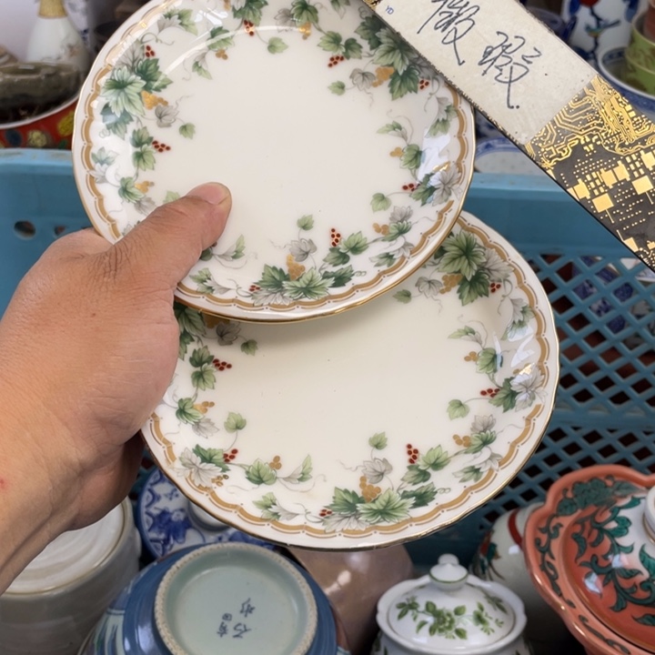 瓷片开播了开播了开播了