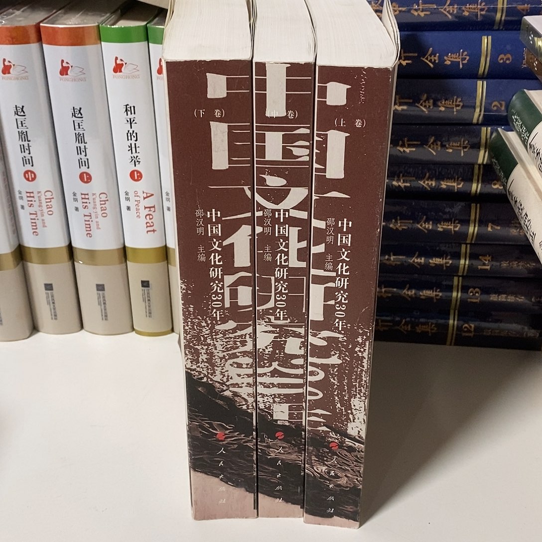 瑕疵  中国文化研究三十年 