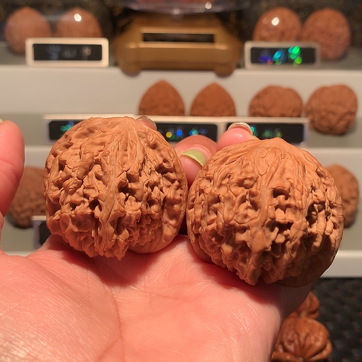 文玩核桃女娲石44尺肚47