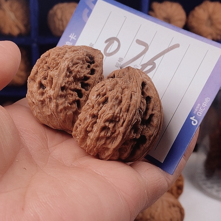 杰子出品-半壁江山