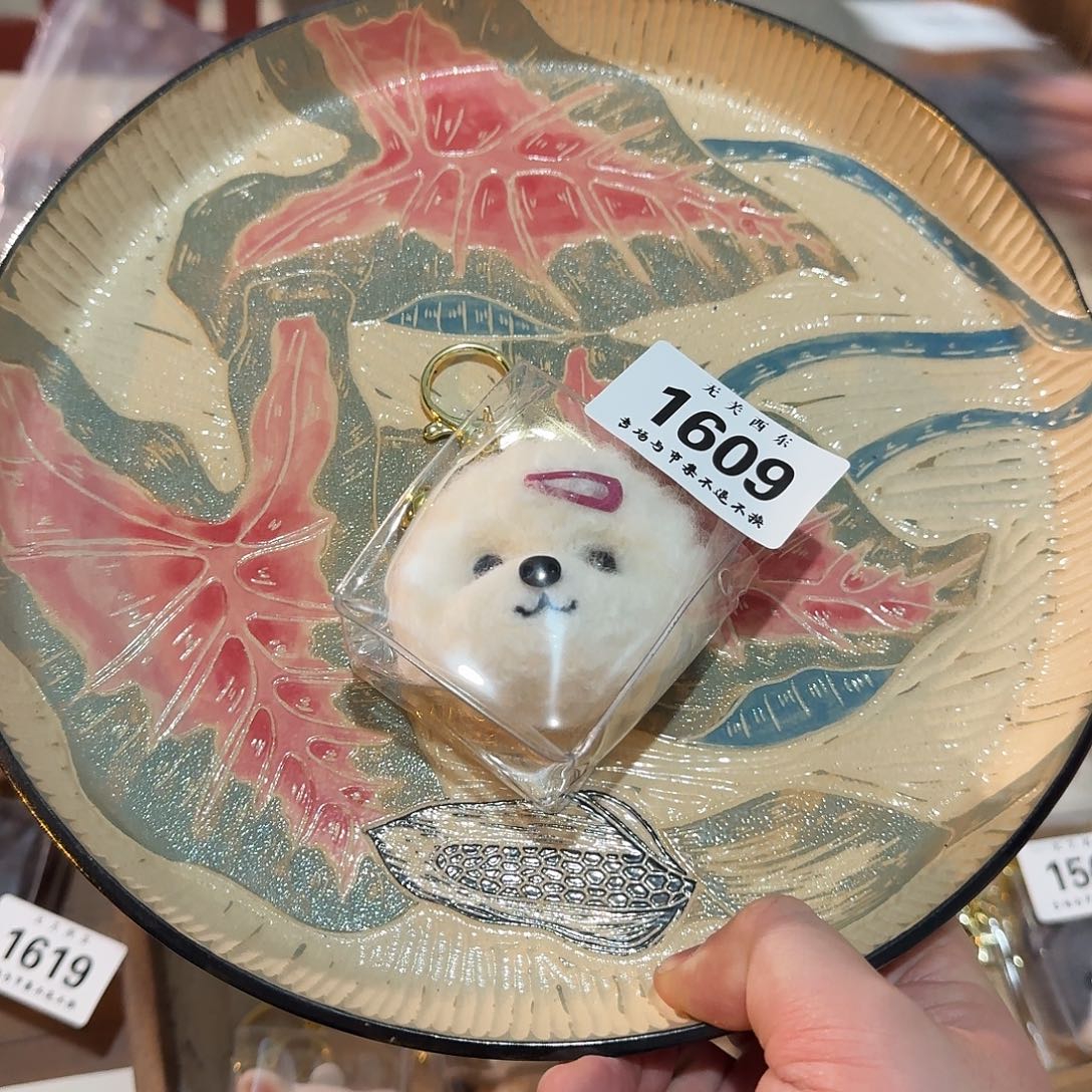 茶宠豆*✌噜啦啦啦啦啦啦