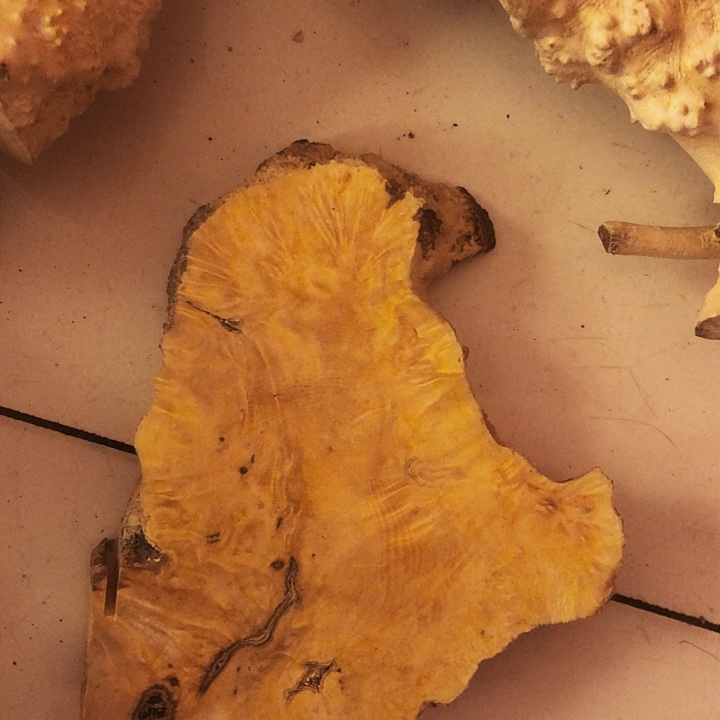 用***6木木料木料木料木料