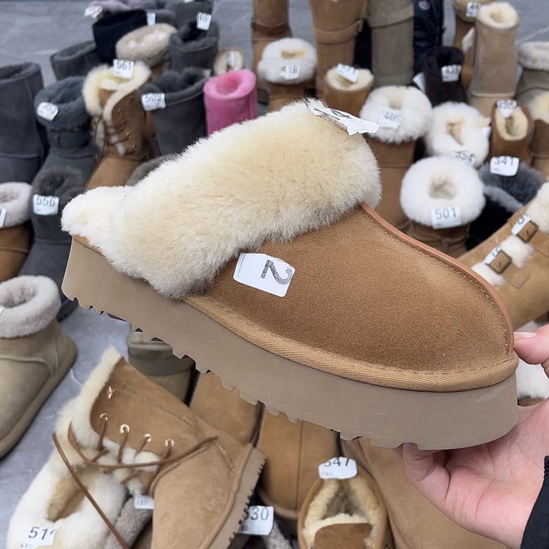 栗色星拖36码数的