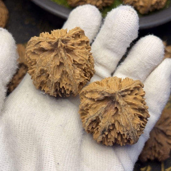 不***人文玩核桃把件秦岭核桃