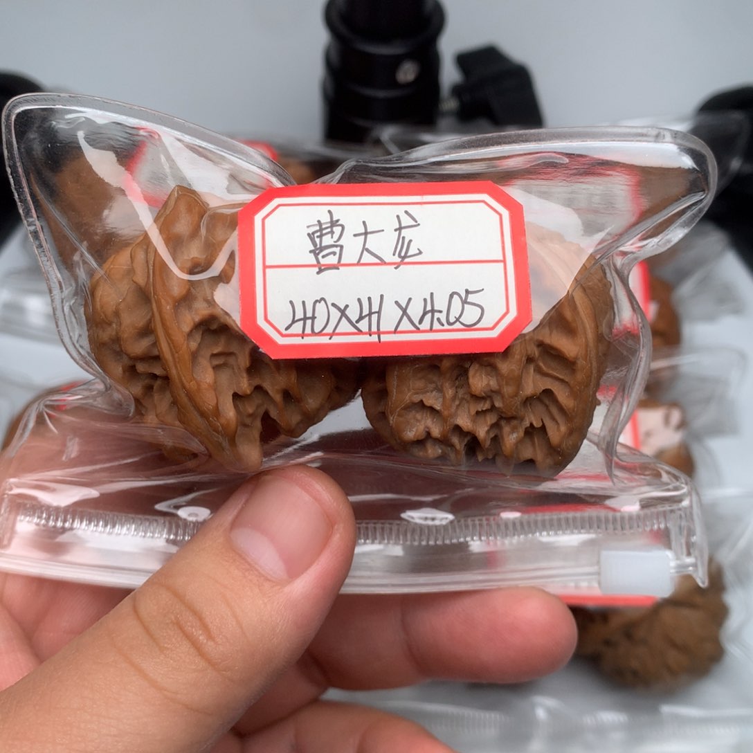 文玩核桃把件曹大龙40