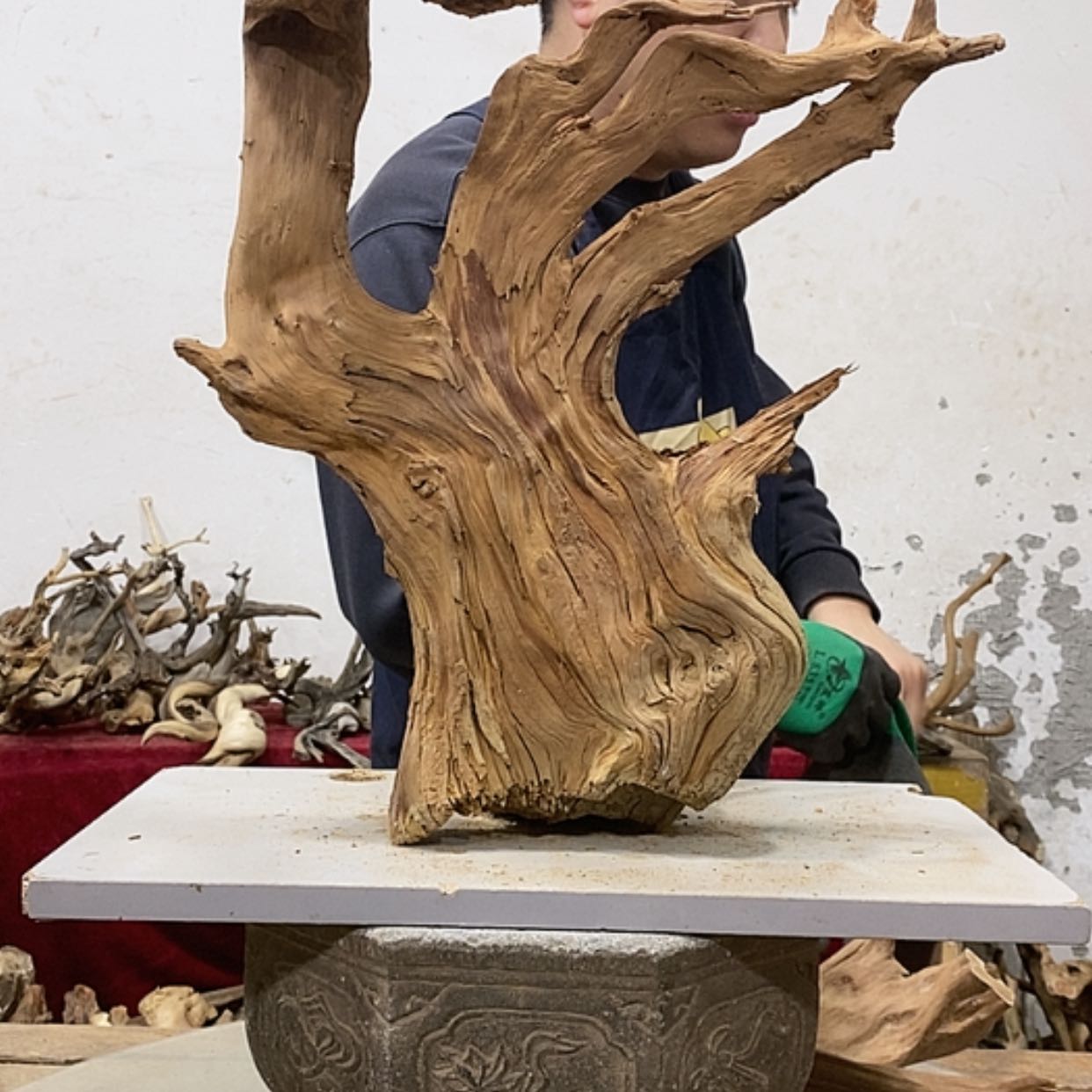 【闪购商品】柏木胡我们都是好孩子