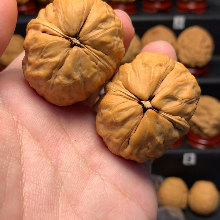 文玩核桃把件玉蟾42尺寸