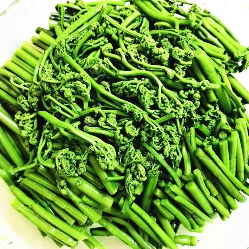  东北特产蕨菜山野菜450g/袋味道鲜美营养丰富爆炒煎炸凉拌