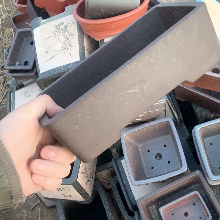 紫砂我要不就是你一