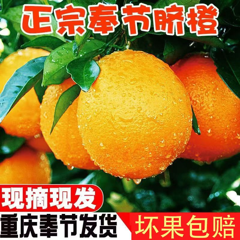正宗奉节脐橙新鲜水果产地直发应季现摘孕妇水果皮薄多汁甜橙子