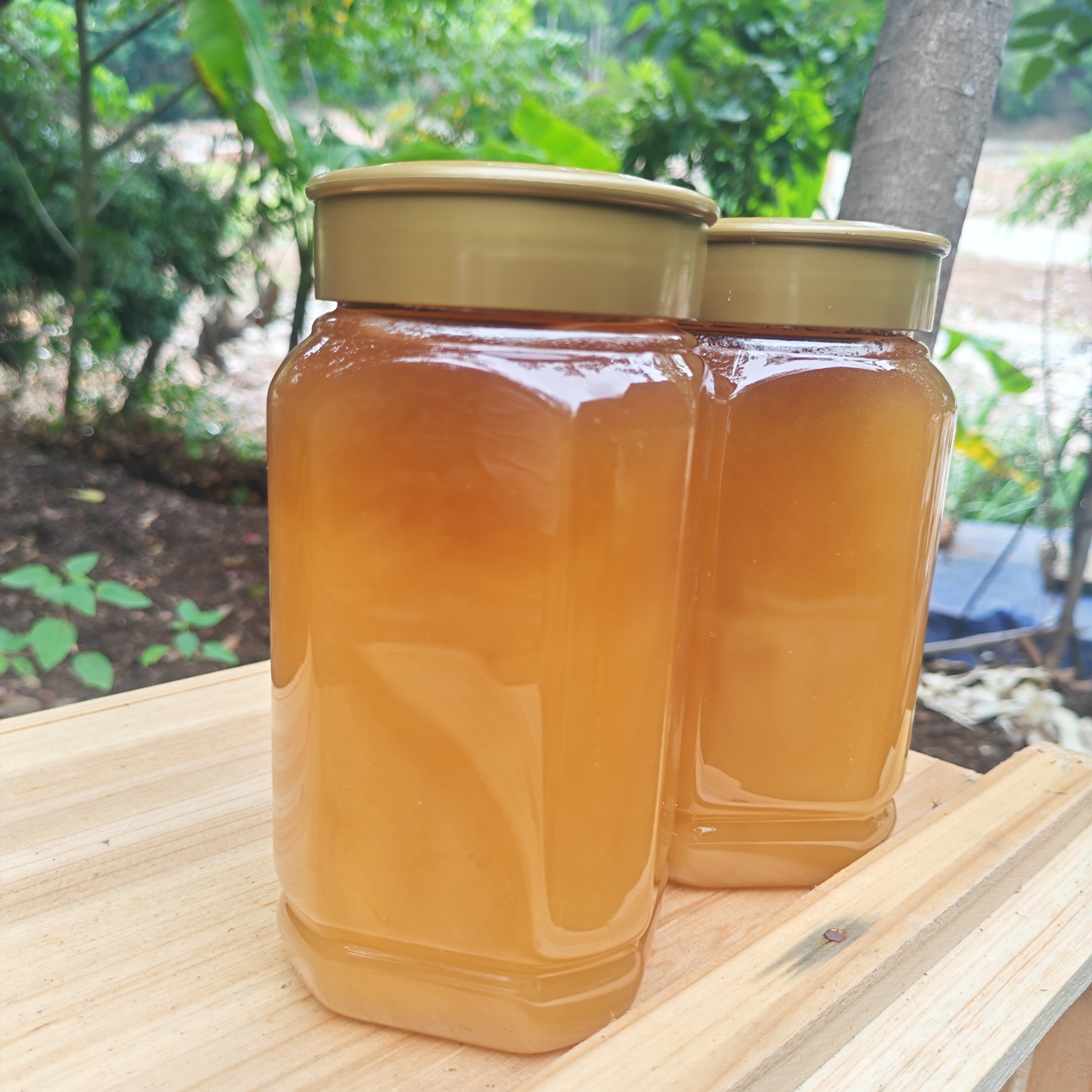 蜜蜂口粮  饲料   桉树  蜜蜂养殖专用