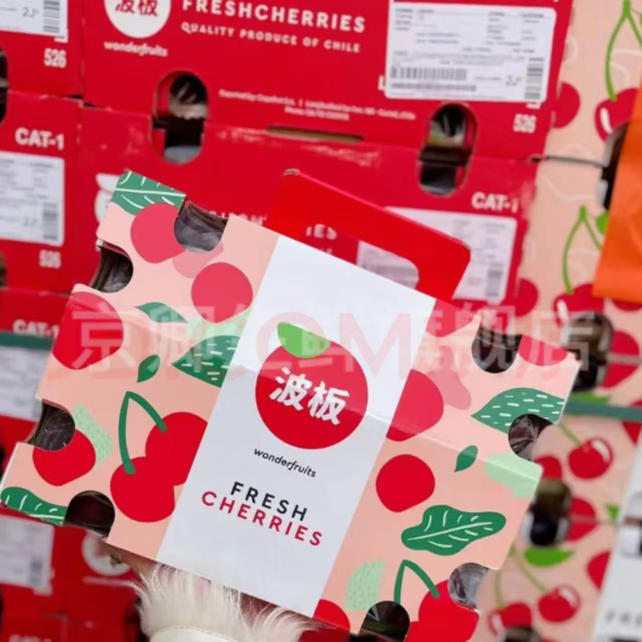 【2J-4J】智利进口原箱车厘子波板拉宾斯 5斤净重