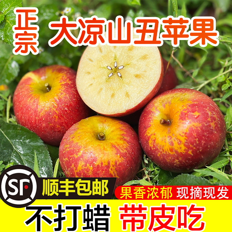 【顺丰包邮】正宗大凉山盐源丑苹果新鲜现摘现发脆甜多汁冰糖心