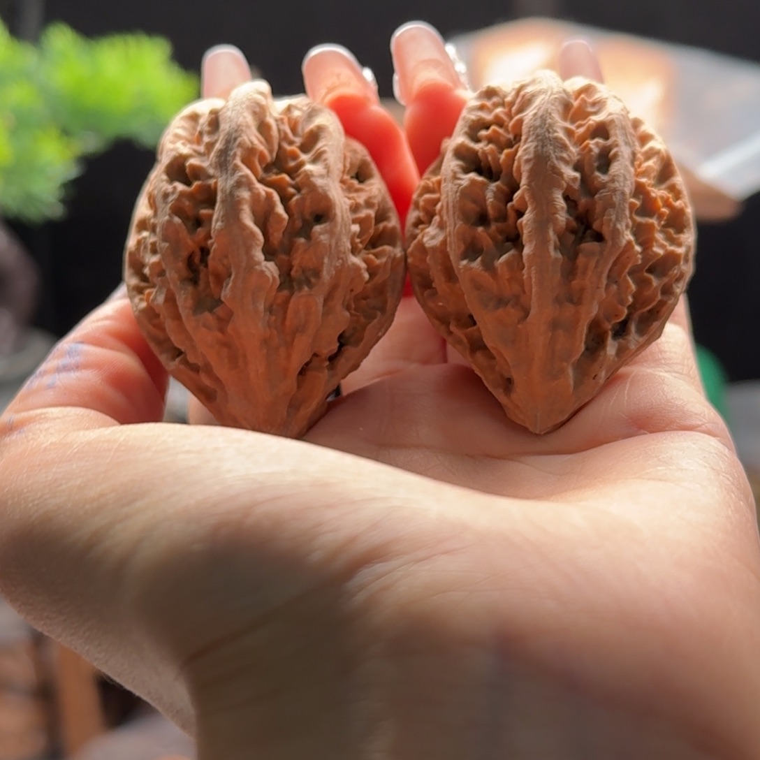 文玩核桃把件关东木子楸百核184