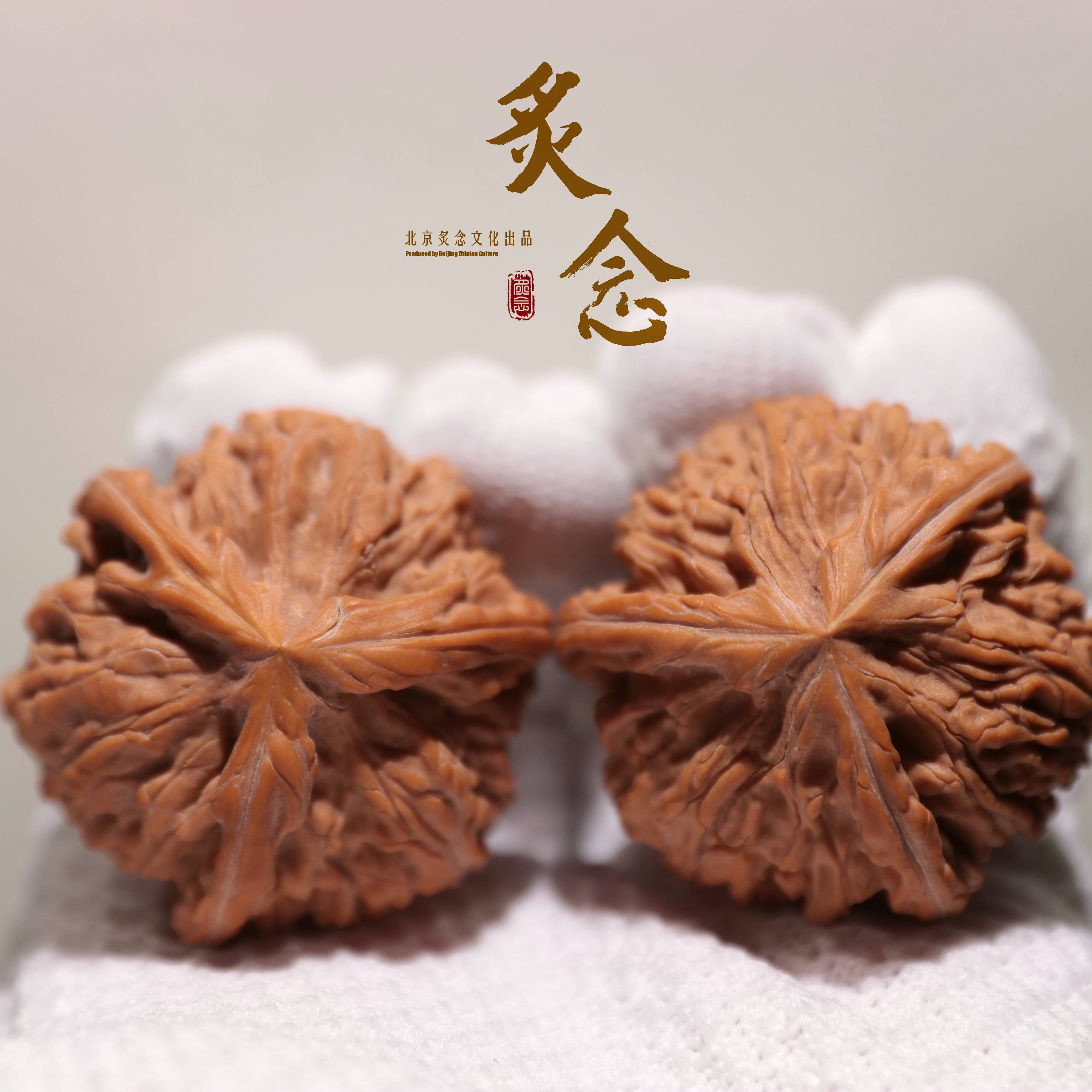 御龙粗筋正奔 · 44 一物一图 文玩好物 文山正奔