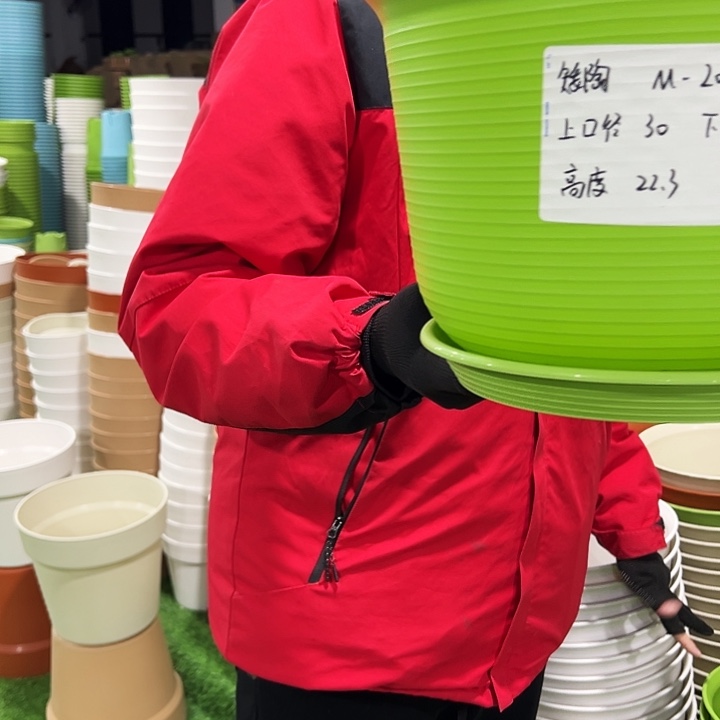 正品矮陶口30高22果绿色5只带托