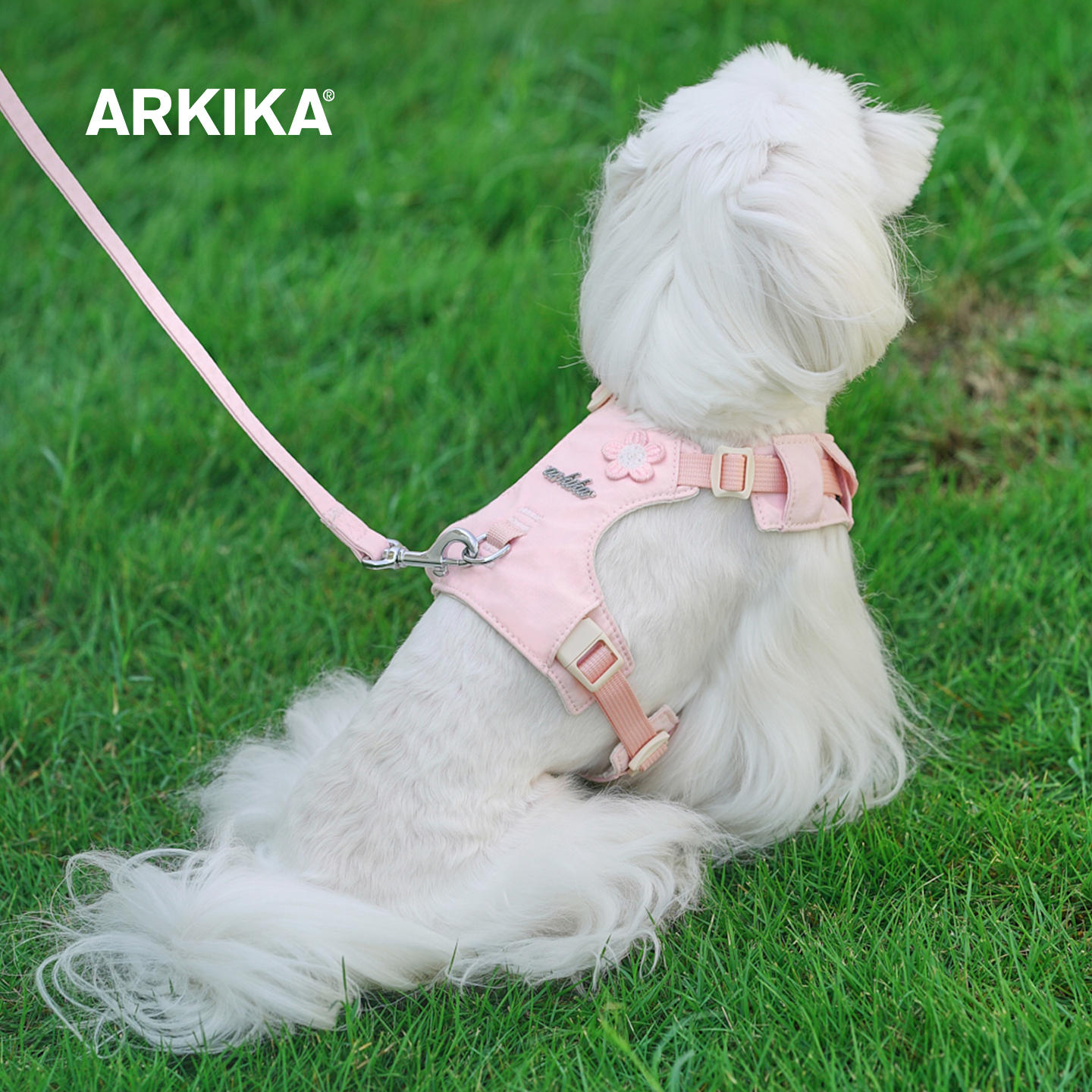 ARKIKA狗狗可爱胸背牵引绳小型犬工字型轻量化遛狗