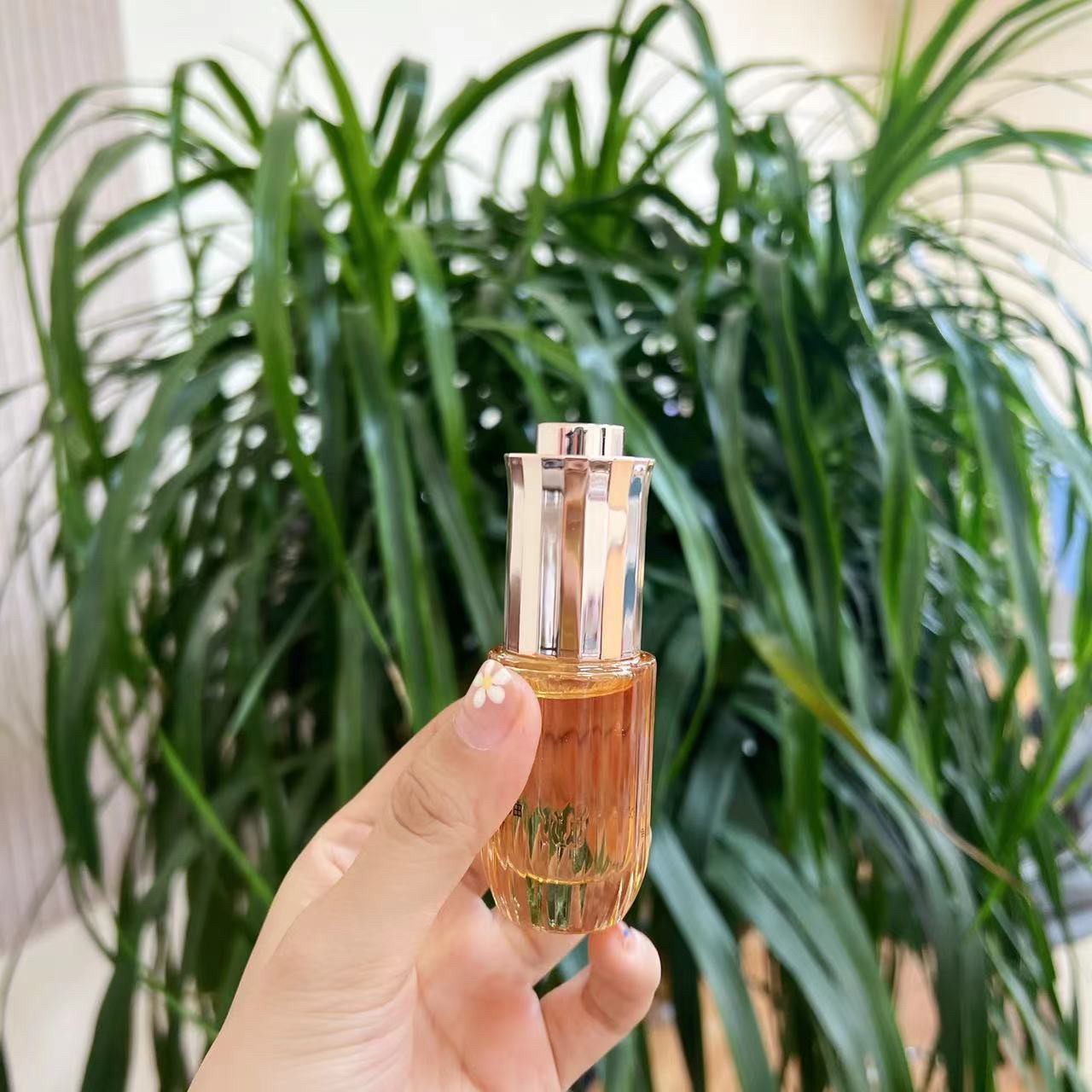 【升级4.0！】内修护外抗老！大名鼎鼎的小皇瓶山茶花精华油！