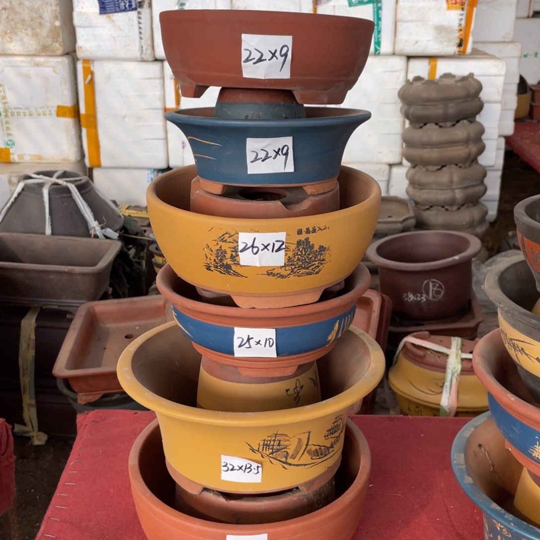 紫砂一号 一组六只