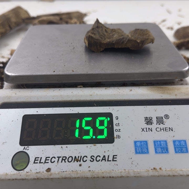 沉香沉香碎屑绿绮楠沉香15.9克