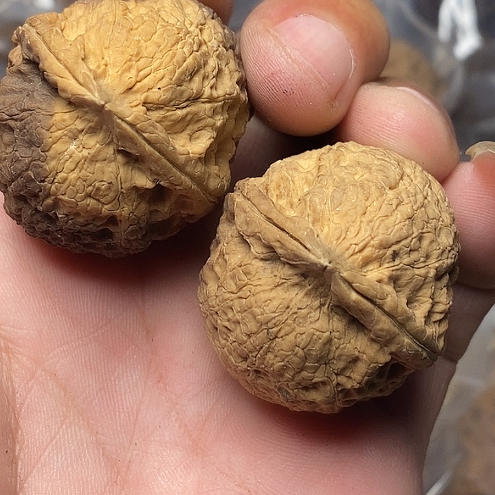 把件文玩核桃志成云铁文玩91