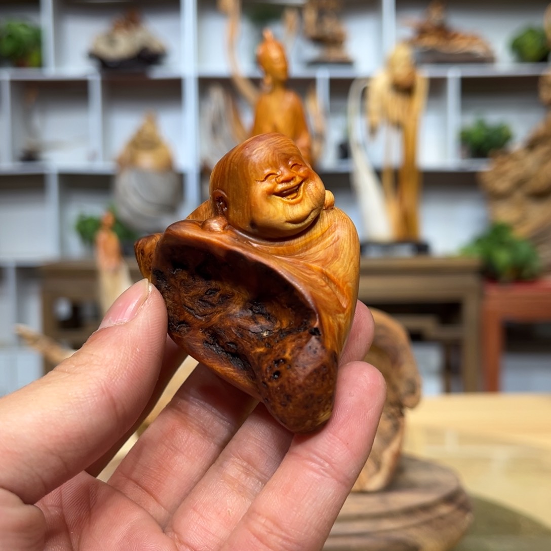 柏木（崖柏）5566666655585