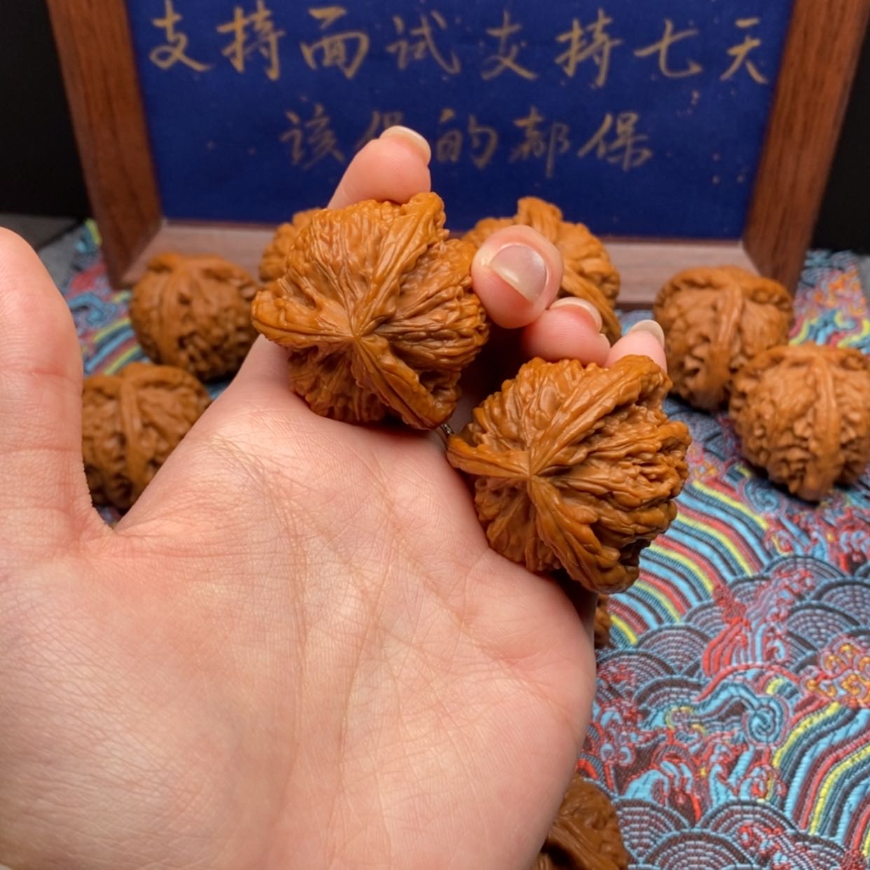 【闪购商品】磊*白狮