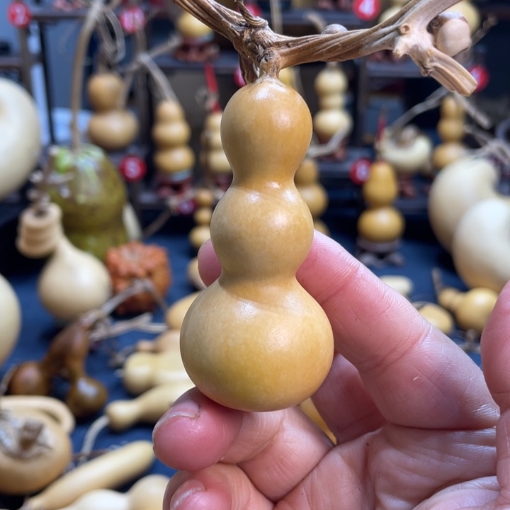 百***迷我是一只小小鸟啊哈哈我要笑晕过去啦哈哈我