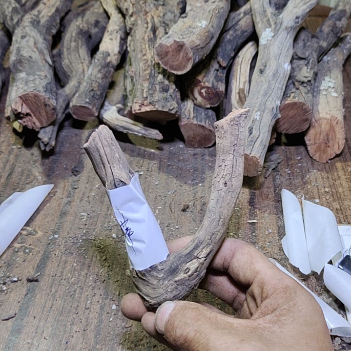 小****火琉璃原杈不保沉水慎拍！