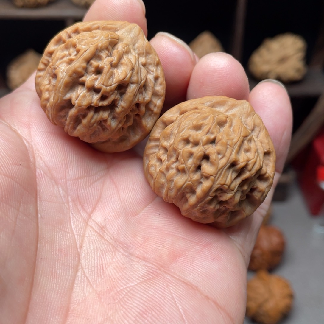 桃核把件35全品野龙珠