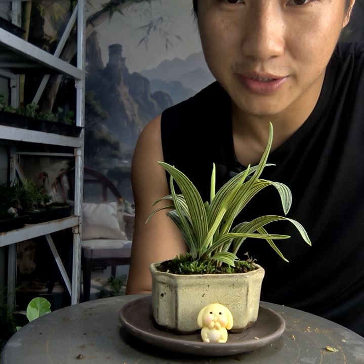 小**?中青园艺一物一拍45