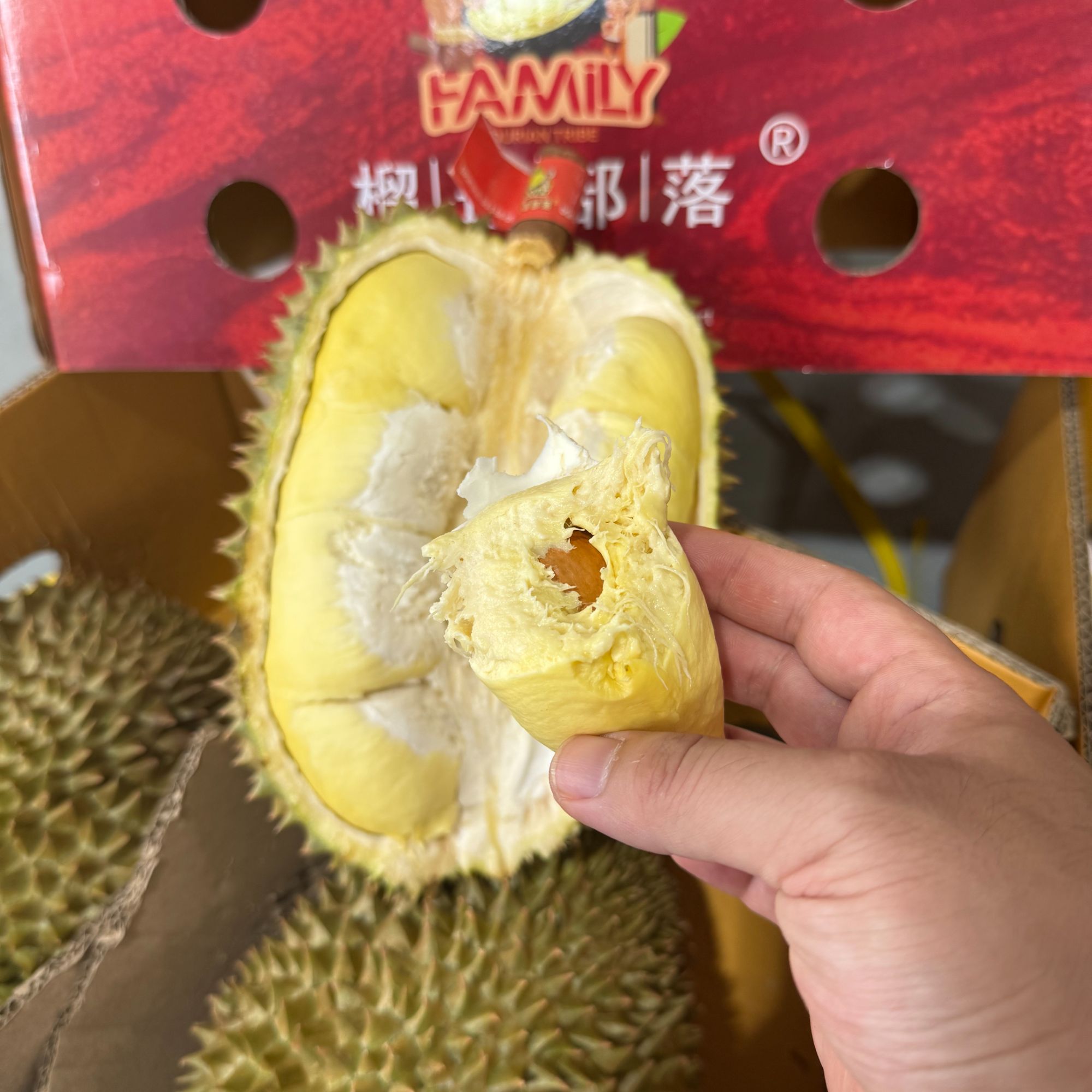 【榴莲部落·素可泰深林金枕A果】泰国北部空运榴莲 装箱日期6月22日