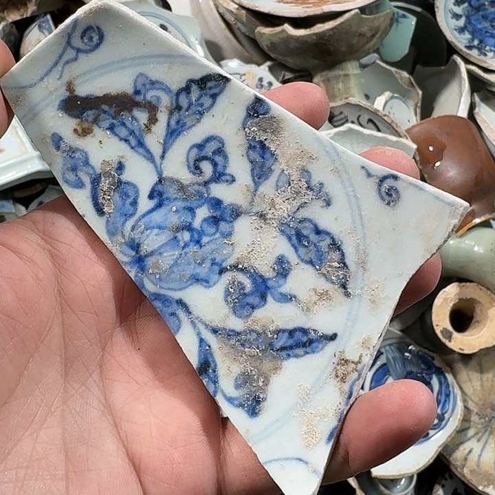 奥***l瓷片瓷片标本，顺丰包邮