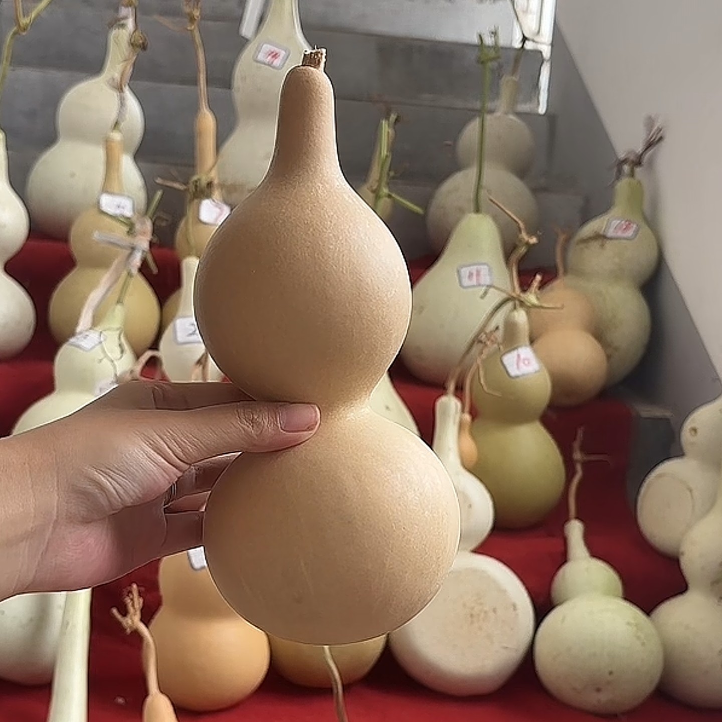 八宝葫芦长嘴短嘴夹扁