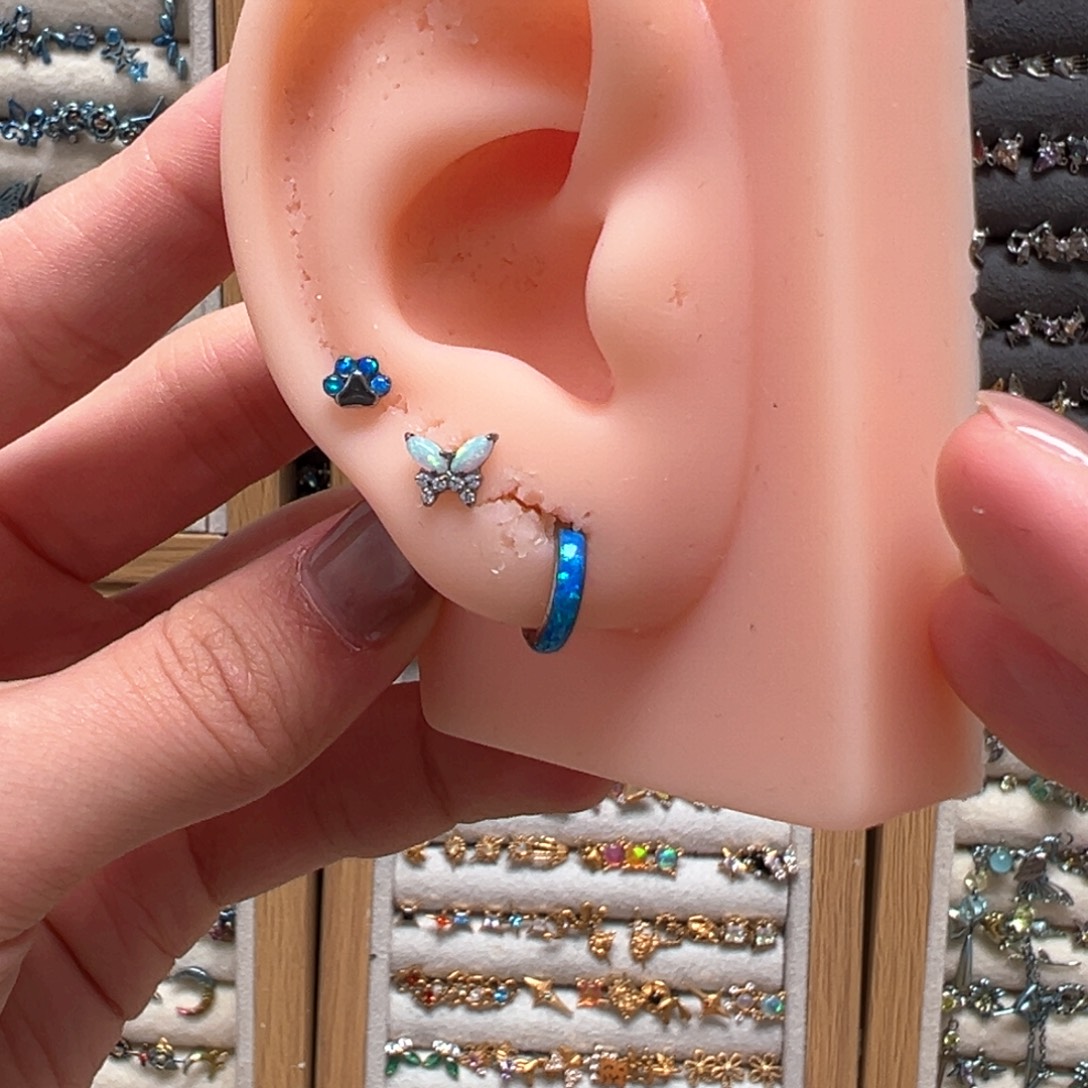 钛合金合金23号澳宝蝴蝶澳宝底环粗小猫爪带钻