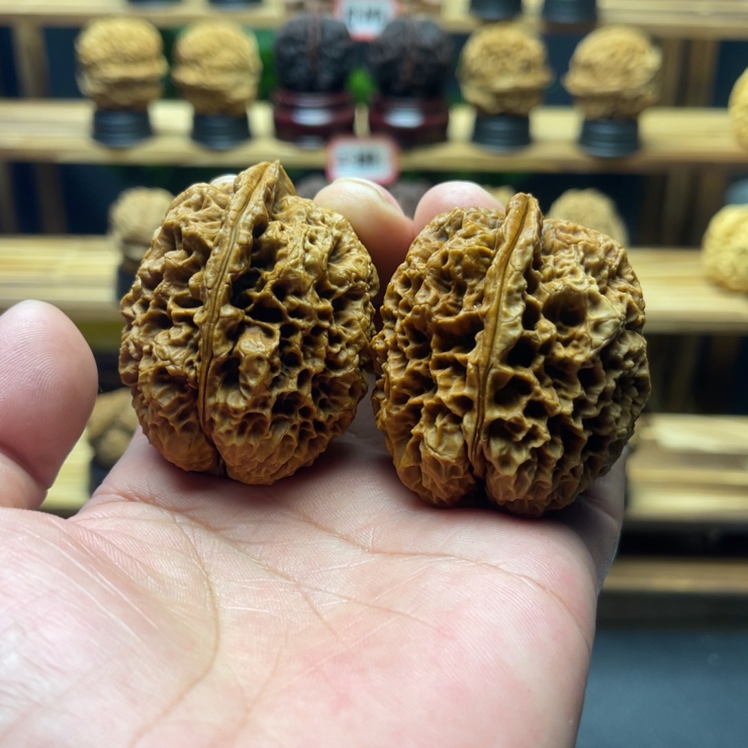 坦***对核桃43mm万魔窟 一物一图