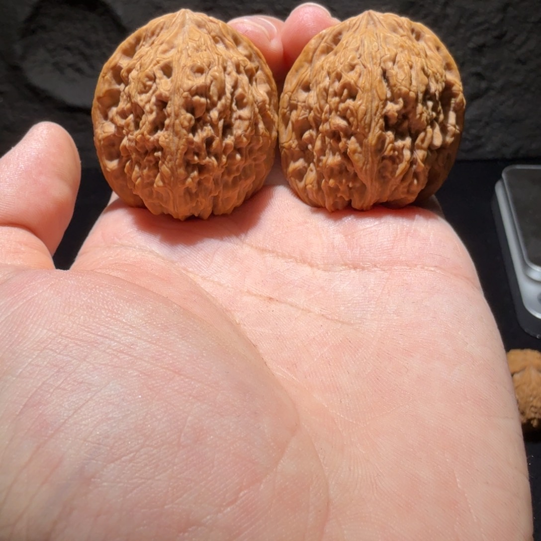 吊坠文玩核桃37边39高凹底