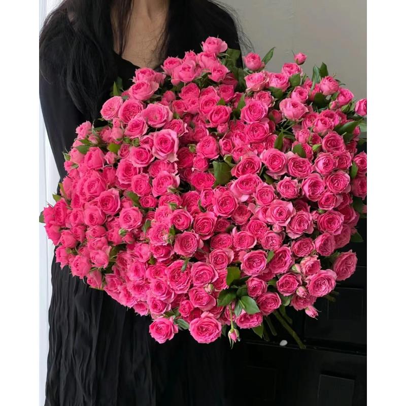 高品质鲜花 【苏菲宝贝】多头玫瑰10支 已发货不支持退款换货