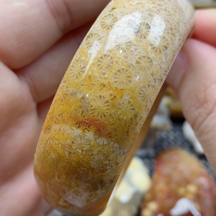 硅化珊瑚（珊瑚玉）颈饰未镶嵌