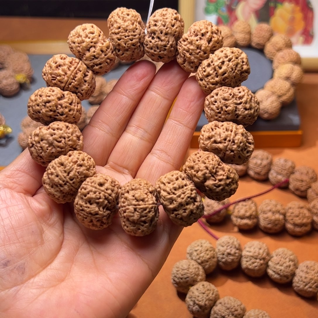 金刚菩提手串五星夹板大金刚菩提